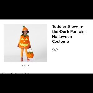 Pottery Barn Kids Pumpkin costume